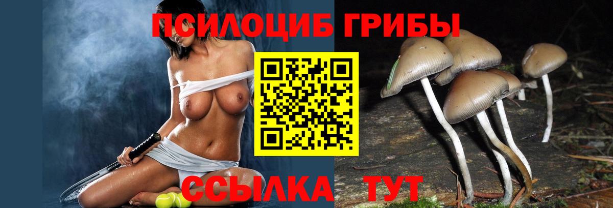 Псилоцибиновые грибы мицелий Нижневартовск
